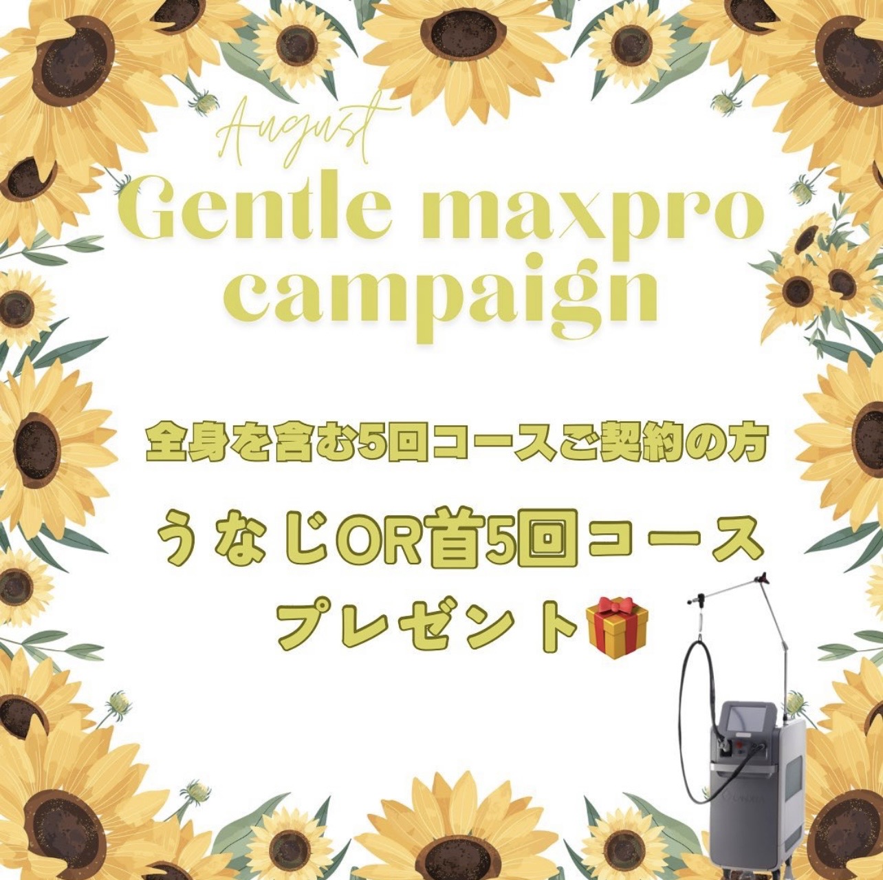 8月キャンペーンのご紹介です     今月は、イオン導入に加えて  脱毛キャンペーンも行います。Wスキンクリニック名古屋。