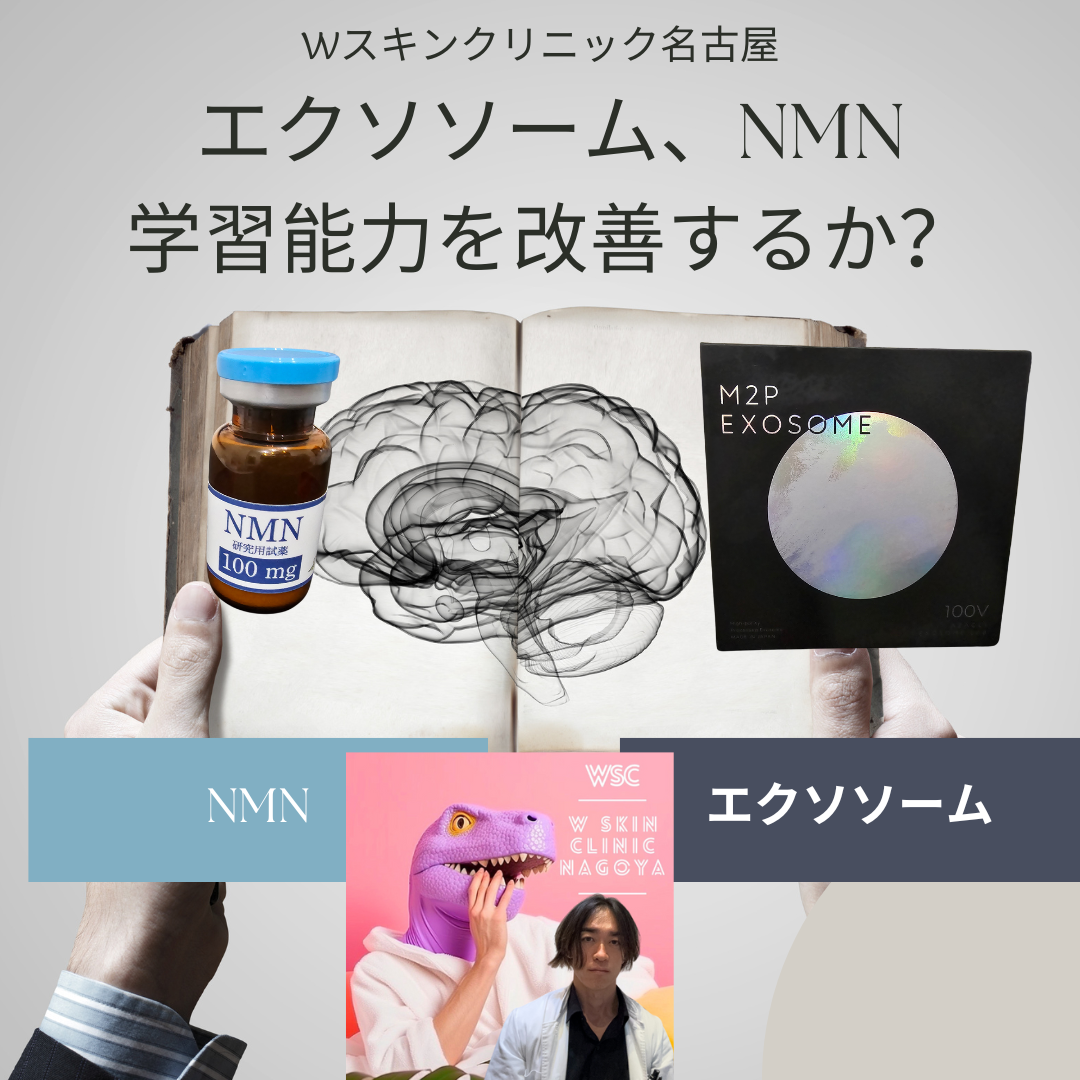 エクソソームとNMNが学習能力を向上させる可能性について、名古屋の美容皮膚科医が解説