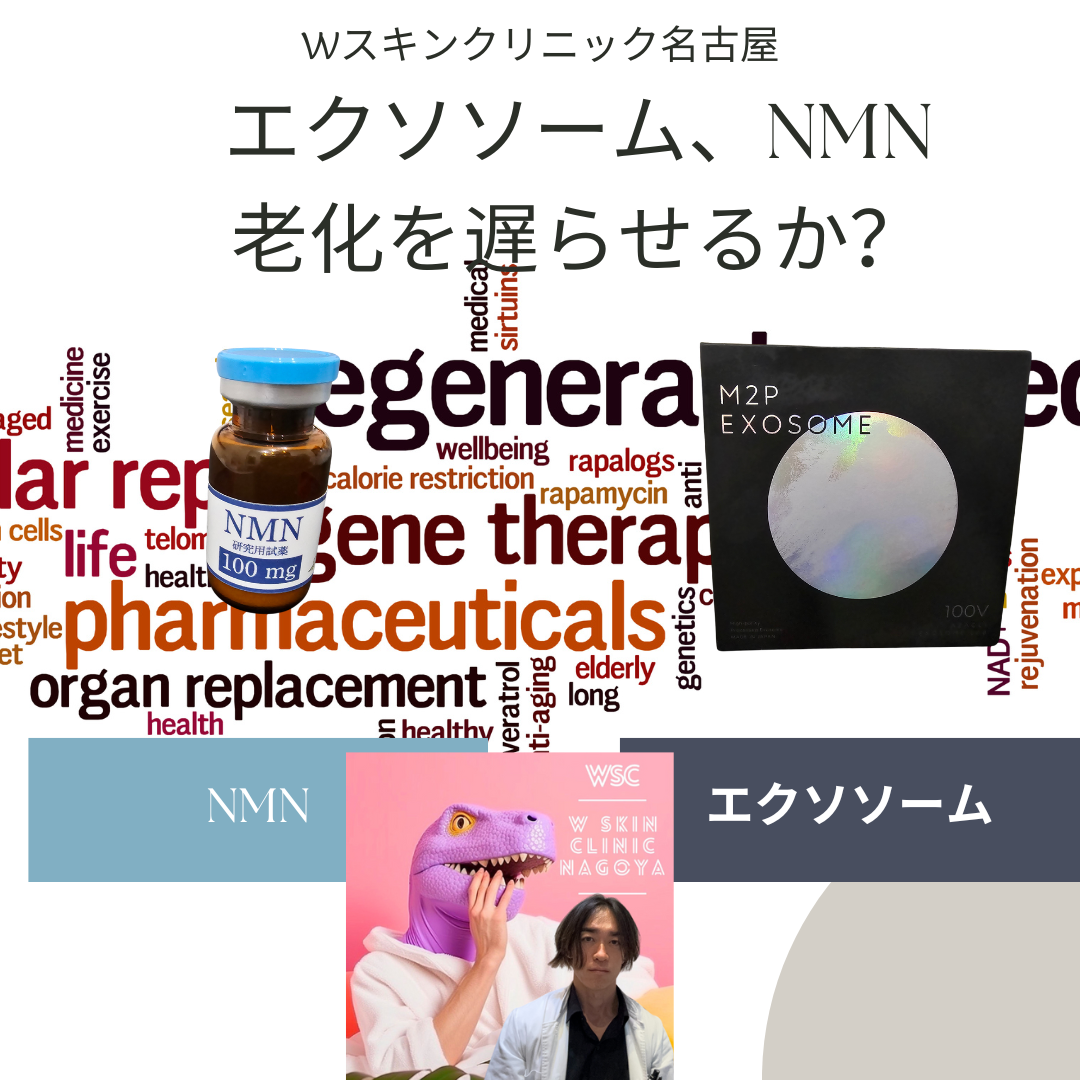 エクソソーム、NMNは老化を遅らせる可能性あるか？その根拠について名古屋の美容皮膚科医が解説